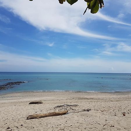 فيلا Pura Vida House Cabo Blanco نيكوجا المظهر الخارجي الصورة